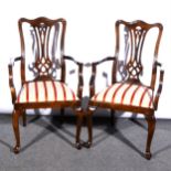 A pair of stained beechwood carver chairs, ...