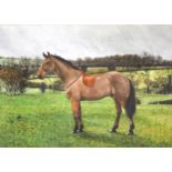 Penny Richardson (nee Whadcoat), Horse in a landscape, ...