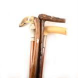 A Victorian presentation walking stick, ivory handle, silver ferrule, and three others