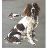 Sam Marriott, Meg, portrait of a Springer Spaniel, ...