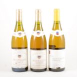 Quantity of white table wine: Montagny Premier Cru, 1999 (8 bottles), 1997 (4 bottles), 1994 (10