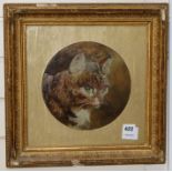 R H Holmes, oil on board, Study of a cat's head, signed, tondo 22cm