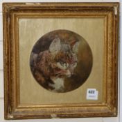 R H Holmes, oil on board, Study of a cat's head, signed, tondo 22cm