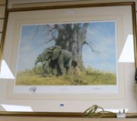 David Shepherd, limited edition print, Baobab and friends, 943/950, 50 x 63cm and a smaller print,