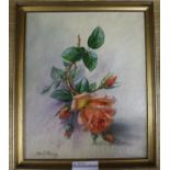 Albert Williams, oil on canvas board, Study of a rose, signed, 30 x 25cm