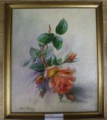 Albert Williams, oil on canvas board, Study of a rose, signed, 30 x 25cm