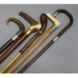 A collection of five walking sticks including three silver mounted