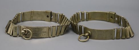 Two 19th century French nickel dog collars