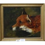 19th century English School, oil on board, Study of a fox's head, 25 x 30cm