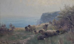 Sidney Pike, oil on canvas, Sheep on cliff tops, signed and dated '93, 24 x 40cm