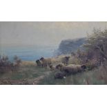 Sidney Pike, oil on canvas, Sheep on cliff tops, signed and dated '93, 24 x 40cm