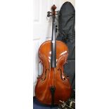 A cased cello