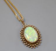 An opal cabochon pendant in 9ct gold bead-edged mount on 9ct gold curb-link fine chain, 12.9g