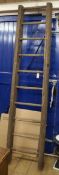 A ladder H.245cm