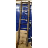 A ladder H.245cm