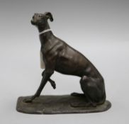 A 19th century French bronze seated greyhound, one paw raised, on shaped naturalistic base, H 20cm W