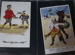 Two albums of Edwardian and later postcards including cats, Felix Donald McGill, liners Croydon