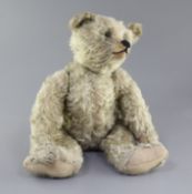 A Steiff centre seam bear, one paw pad replaced, one foot pad repaired, repairs to muzzle, hair loss