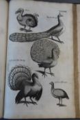 Willoughby, Francis - The Ornithology ..., 1st edition in English, rebound 17th century style