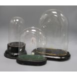 Three glass display domes