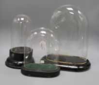 Three glass display domes