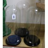 Three glass display domes