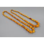 Two single strand graduated amber bead necklaces, one with barrel clasp, gross weight 95 grams, 52cm