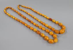 Two single strand graduated amber bead necklaces, one with barrel clasp, gross weight 95 grams, 52cm