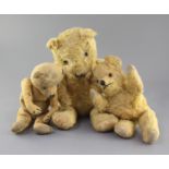 A 1930's Chiltern bear and two others, tallest 19in.