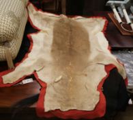 A zebra skin, mounted on a felt backing and an unidentified skin, on a red baize backing, Zebra