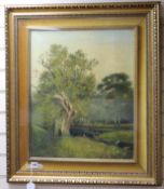 Late 19th century English School, oil on canvas, River landscape, 58 x 49cm
