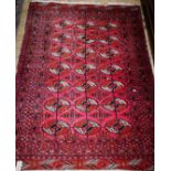 A Bokhara red ground rug 165 x 120cm