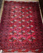 A Bokhara red ground rug 165 x 120cm