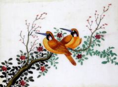 A scrap album of fourteen Chinese pith paintings, 19th century depicting birds perched on branches