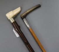 A setter head ivory handled walking cane and a horn and silver mounted riding crop