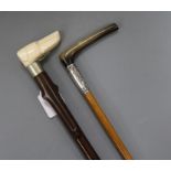 A setter head ivory handled walking cane and a horn and silver mounted riding crop