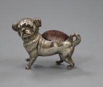 An Edwardian novelty silver pin cushion, modelled as a free standing pug dog, Crisford & Norris,