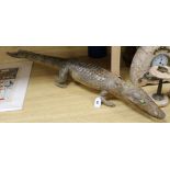 A taxidermy caiman