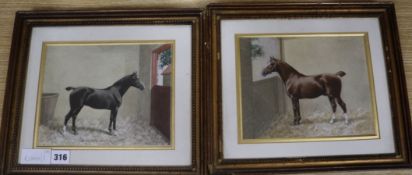 J.Palfry 1901, pair of watercolours, Horse studies; Intake Wonder and Recruit, signed and dated 1901