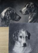 A. Kirkpatrick 1908. Two charcoal sketches of dogs 27 x 38cm unframed.