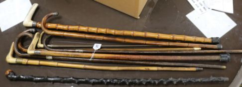 A group of walking sticks, some silver mounted and a riding crop