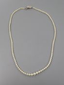 A 1920's single row graduated natural pearl necklace with diamond set clasp, with Gem & Pearl