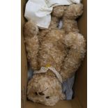 A Steiff 'Family' bear 'Appelonia', white tag, bag