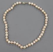 A single strand freshwater baroque pearl necklace, with 925 clasp, 42cm.