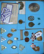 WWI Women's Army Auxillary Corps archive relating to Elsie Ginger and various badges relating to