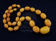 A single strand graduated oval amber bead necklace, gross weight 81 grams, 62cm.