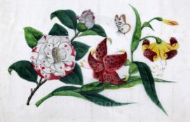 Four Chinese pith paintings, 19th century, three painted with flower studies (two framed) and the