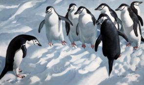 § Keith Shackleton (1923-2015)oil on boardFlipper - Marked for Science - Chinstrap penguinssigned