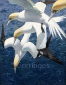 Keith Shackleton (1923-2015)oil on board'Dive Sequence: Gannets'signed and dated '69, FBA Gallery