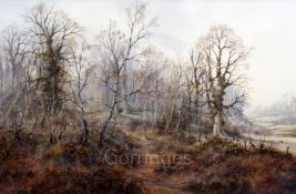 § Colin Burns (b.1944)oil on canvasPheasant in woodlandsigned23 x 35in.